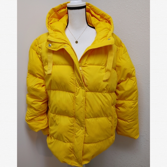 gap snow jacket